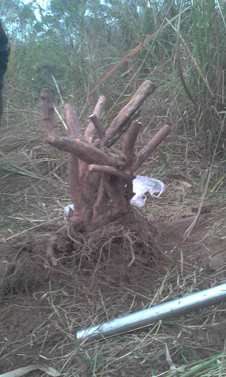 2013-12-09 16.17.43.jpg