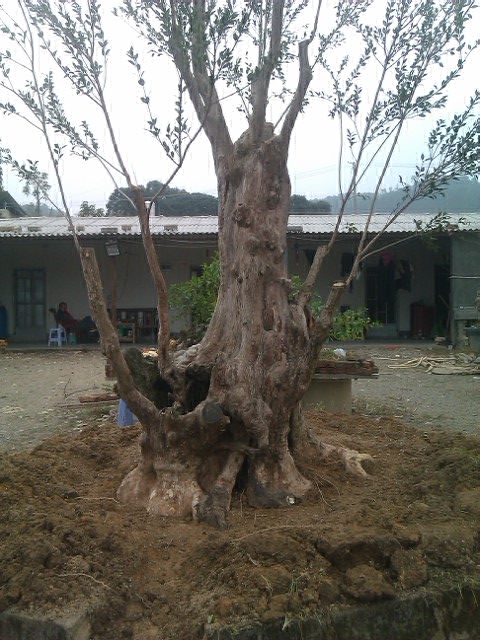 IMAG0073.jpg