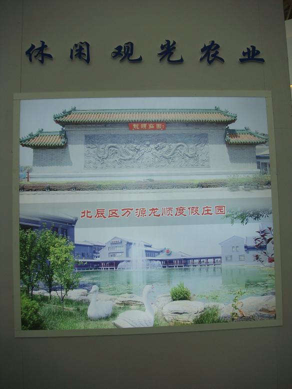 DSC06259.JPG