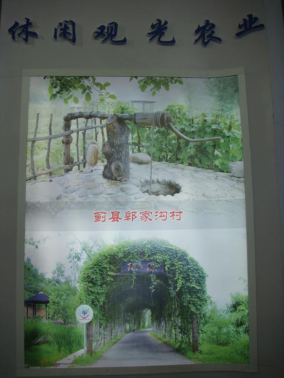 DSC06266.JPG