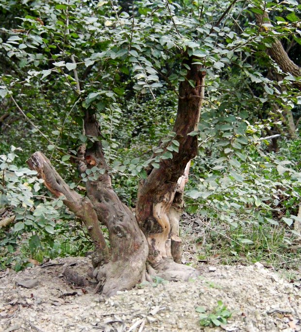 06.jpg