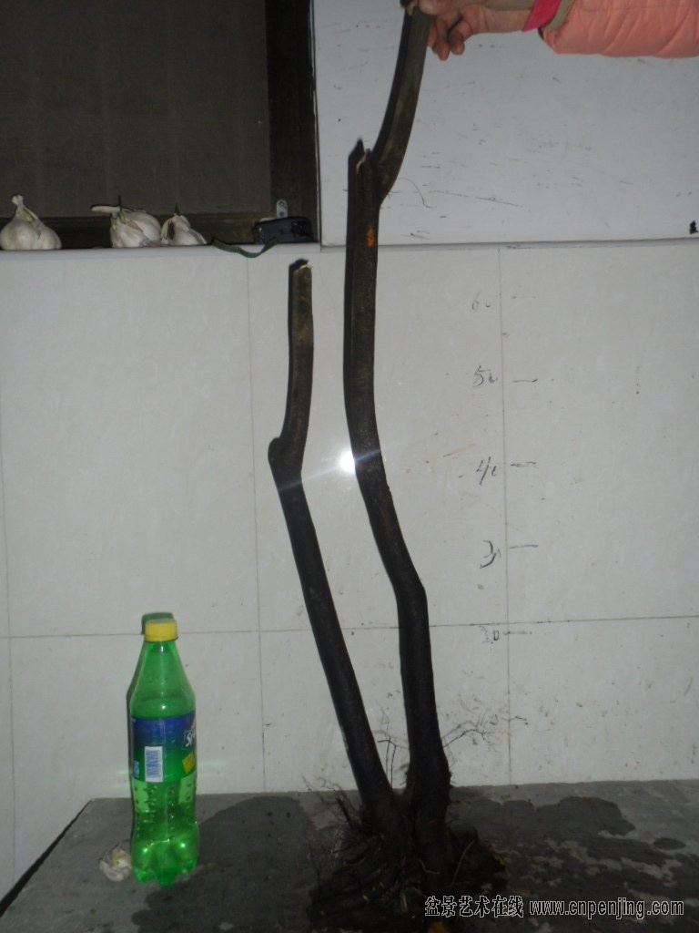 QQͼƬ20131213095752.jpg