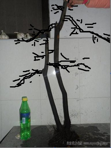 QQͼƬ20131213095448.jpg