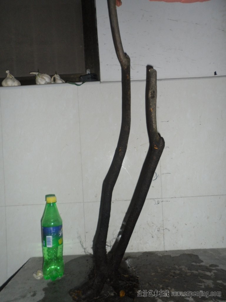 QQͼƬ20131213100620.jpg