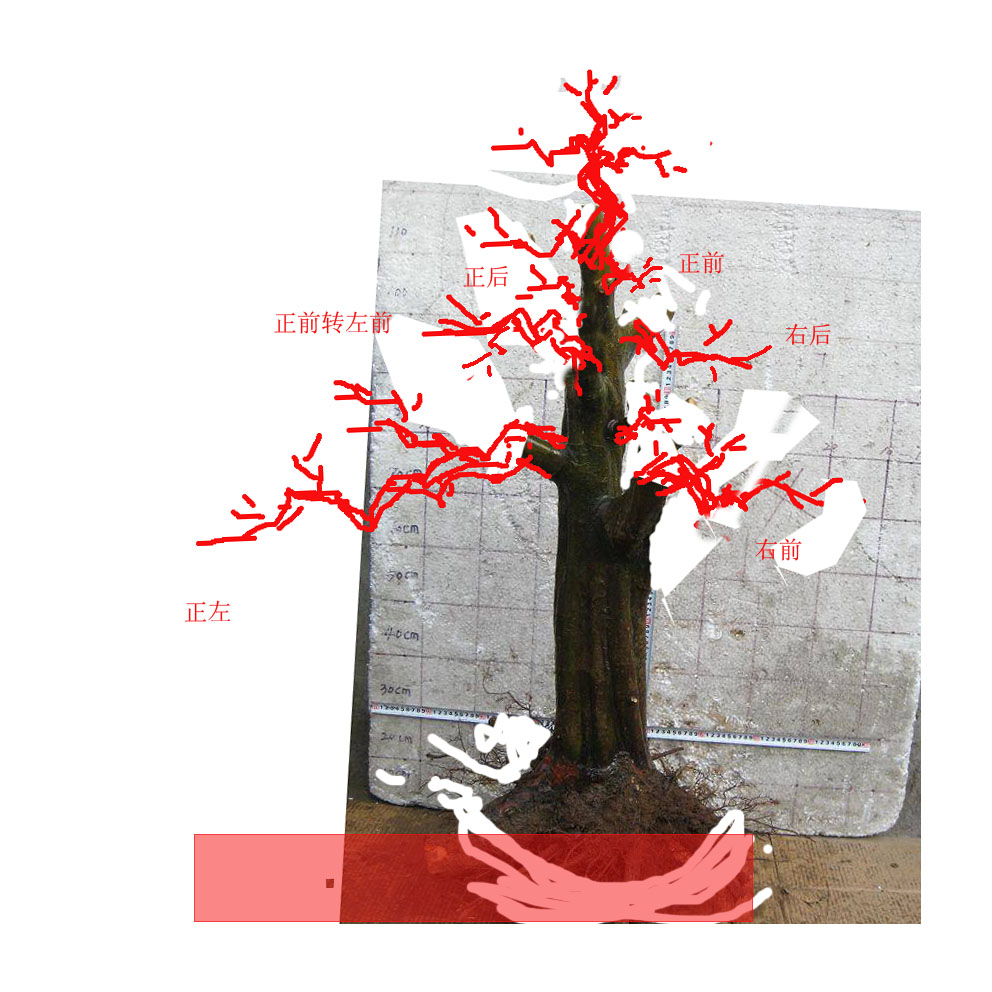 165409u0ogoggdo4wdtget.jpg.thumb.jpg