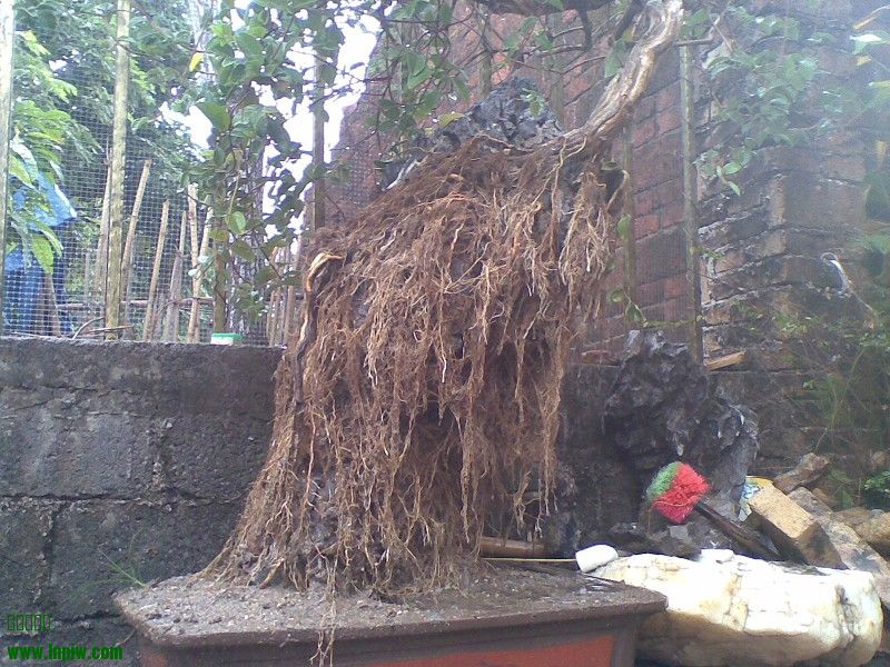 20131213(014)ͼ.jpg