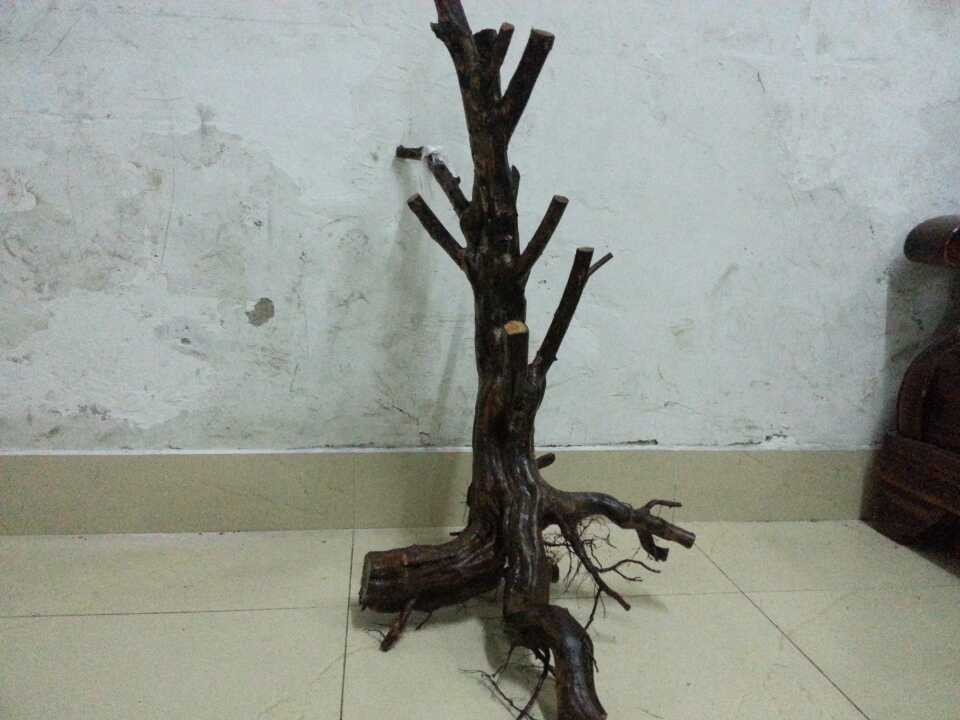 QQͼƬ20131215191014.jpg