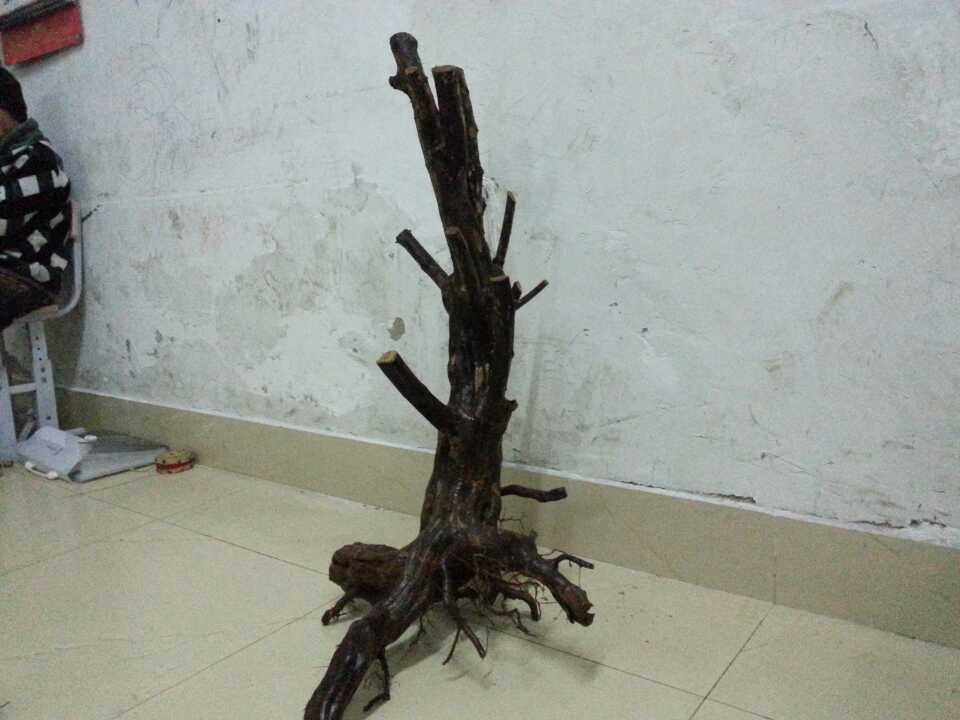 QQͼƬ20131215191021.jpg