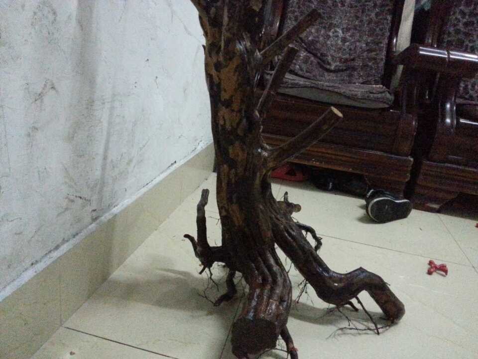 QQͼƬ20131215191029.jpg