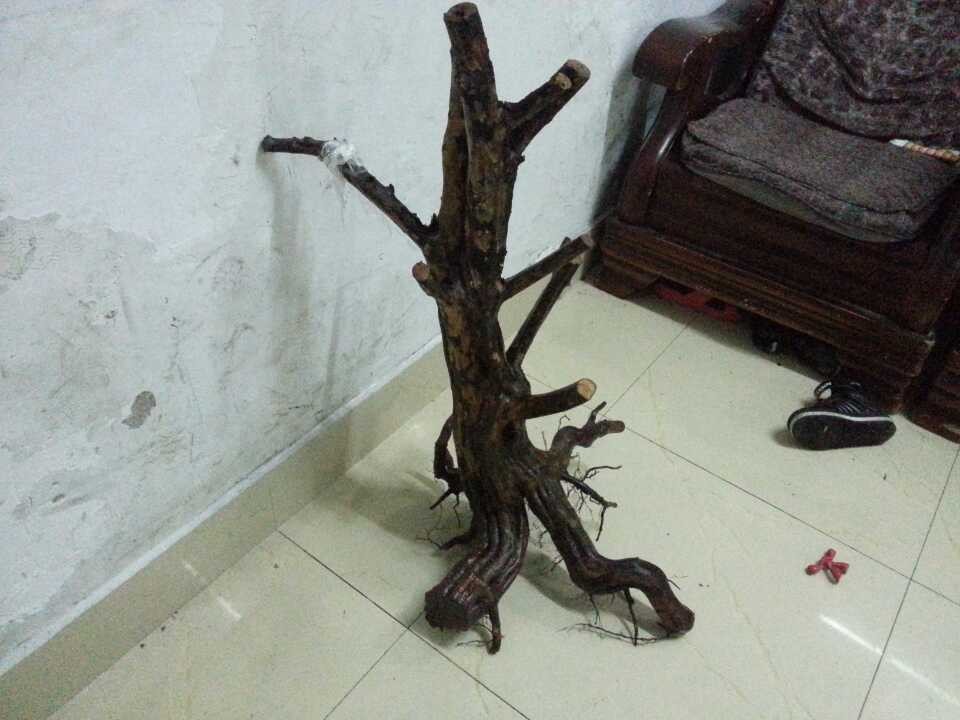 QQͼƬ20131215191036.jpg