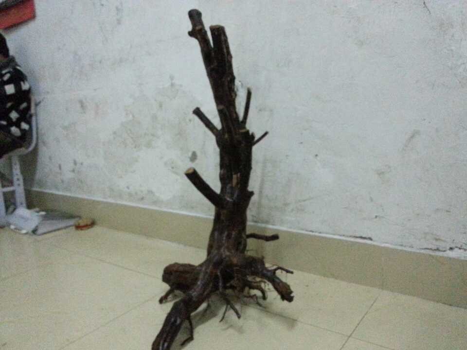 QQͼƬ20131215191040.jpg