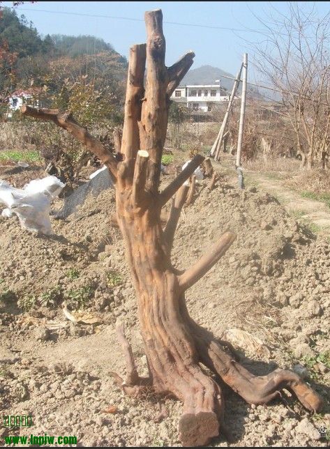 QQͼ20131215210630.jpg