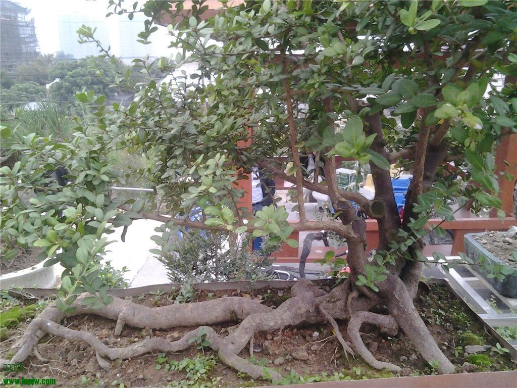 20131214_164747.jpg