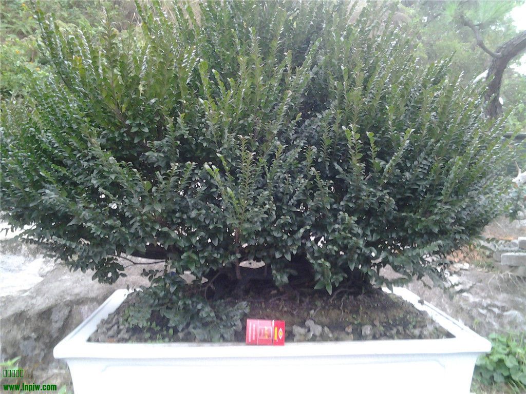 20131214_164809.jpg