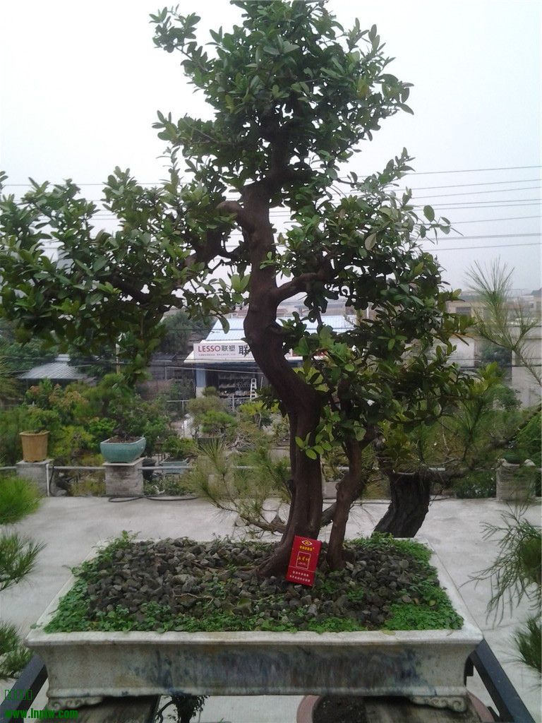 20131214_164833.jpg