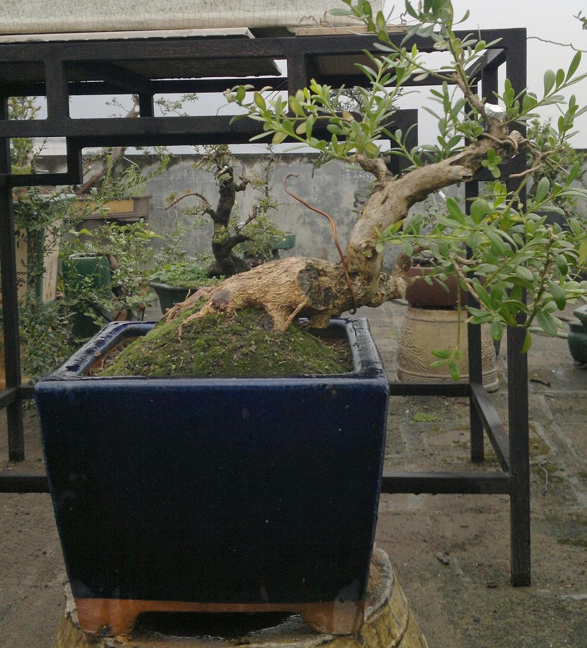 201312141720.jpg