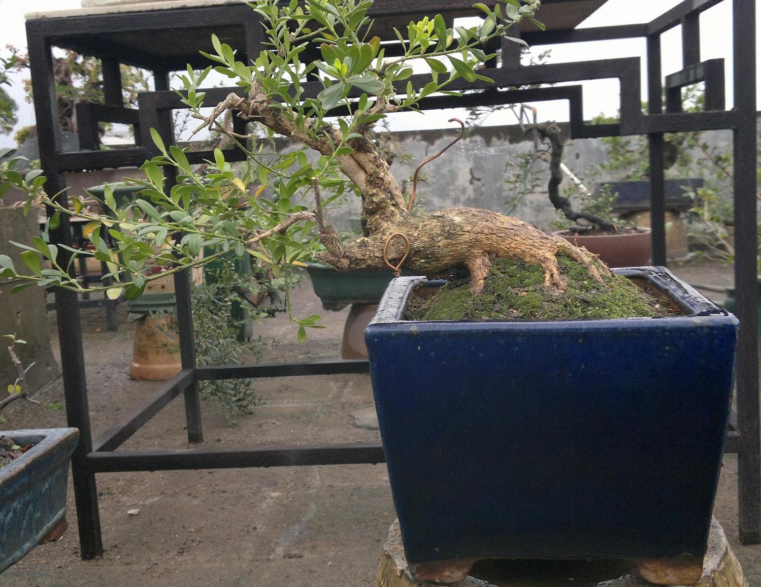201312141722.jpg