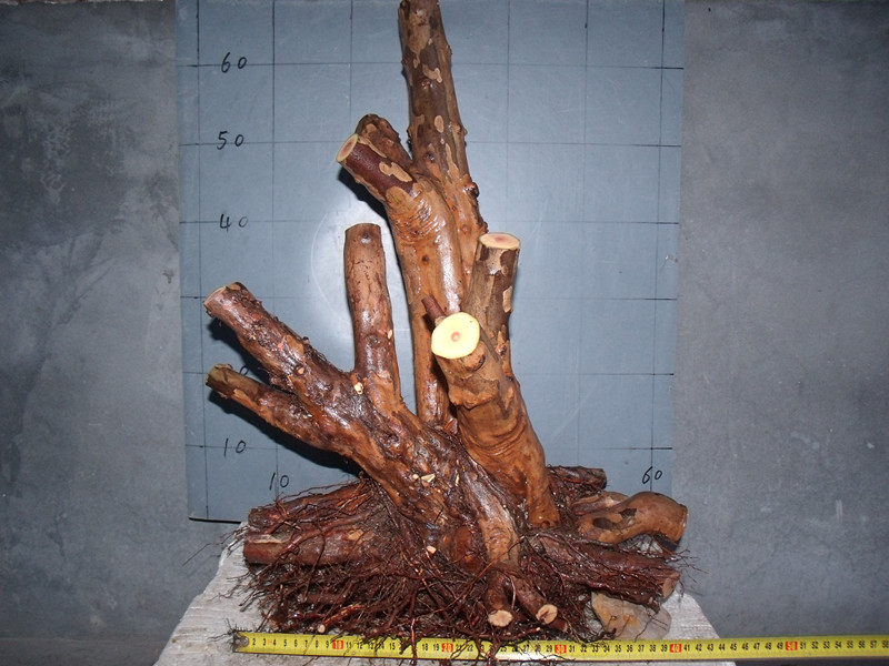 GEDC4313_.jpg