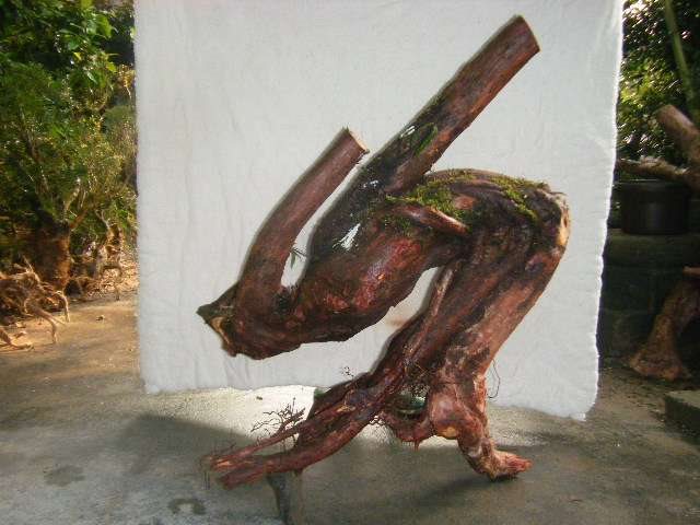 psbCALLAID9.jpg