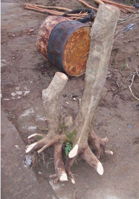 QQͼƬ20131219223126.jpg