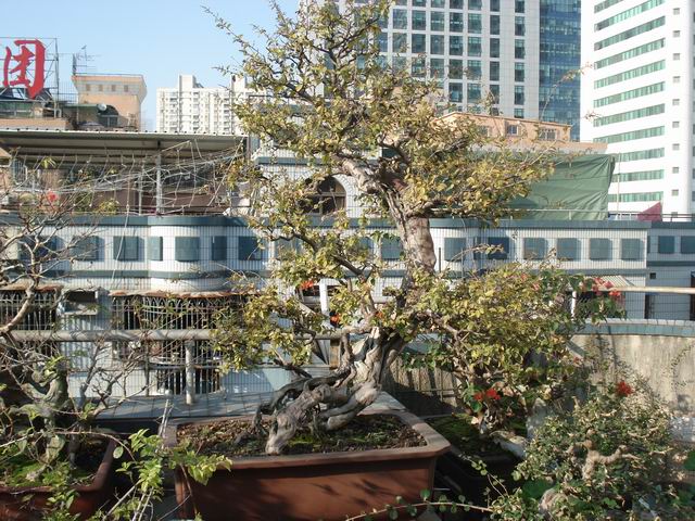 DSC01517.JPG