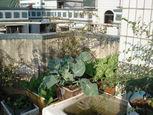 DSC01519.JPG