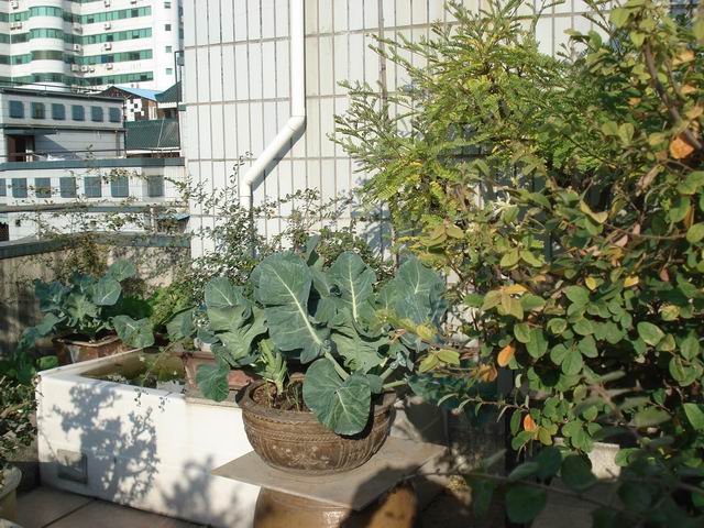 DSC01518.JPG