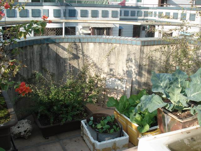 DSC01520.JPG