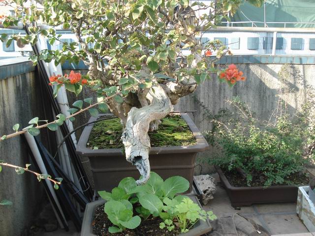 DSC01521.JPG