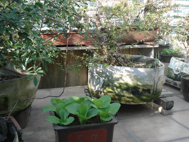 DSC01522.JPG