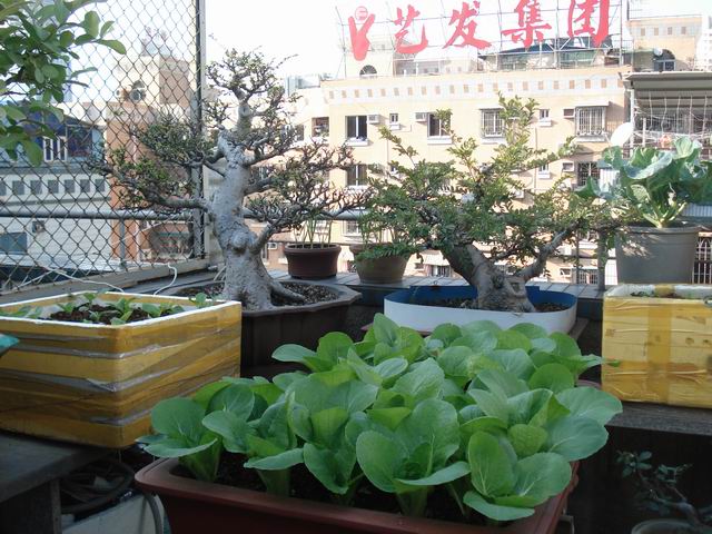 DSC01523.JPG