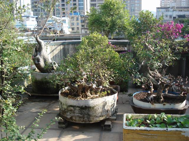 DSC01525.JPG
