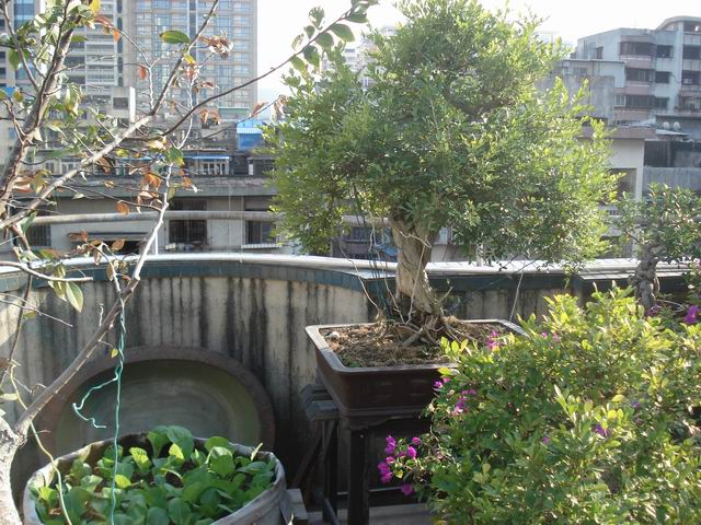 DSC01529.JPG