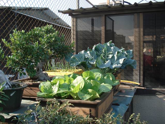 DSC01530.JPG
