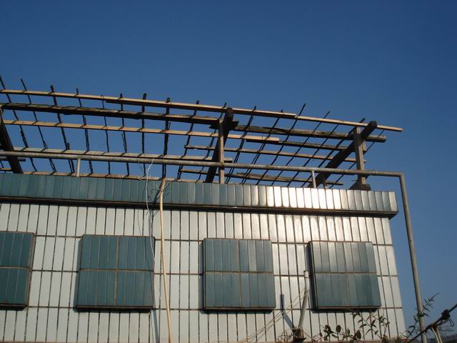 DSC01532.JPG