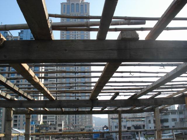 DSC01534.JPG
