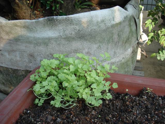 DSC01549.JPG