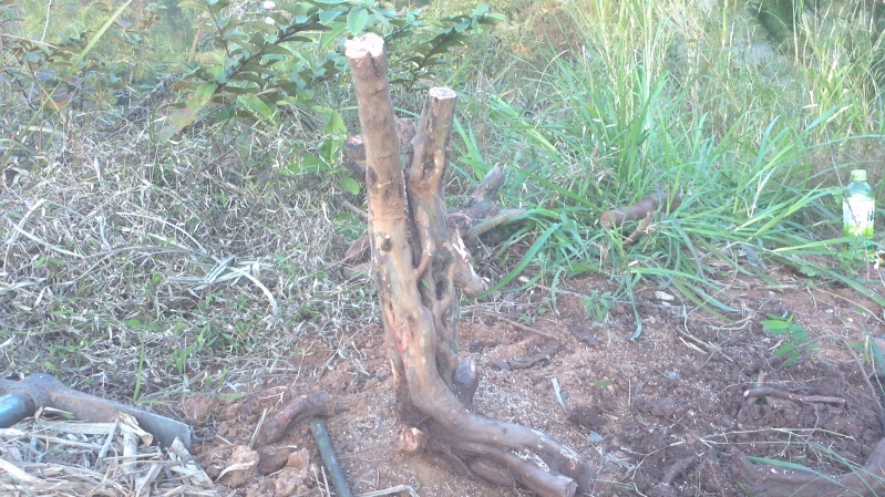 2013-12-19_17-12-42_793_conew1.jpg