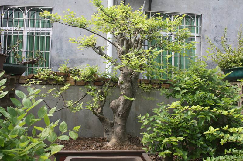 Ƭ20131026ۺ 116.jpg