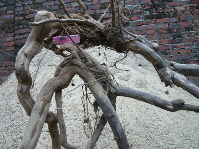 P1030516.JPG