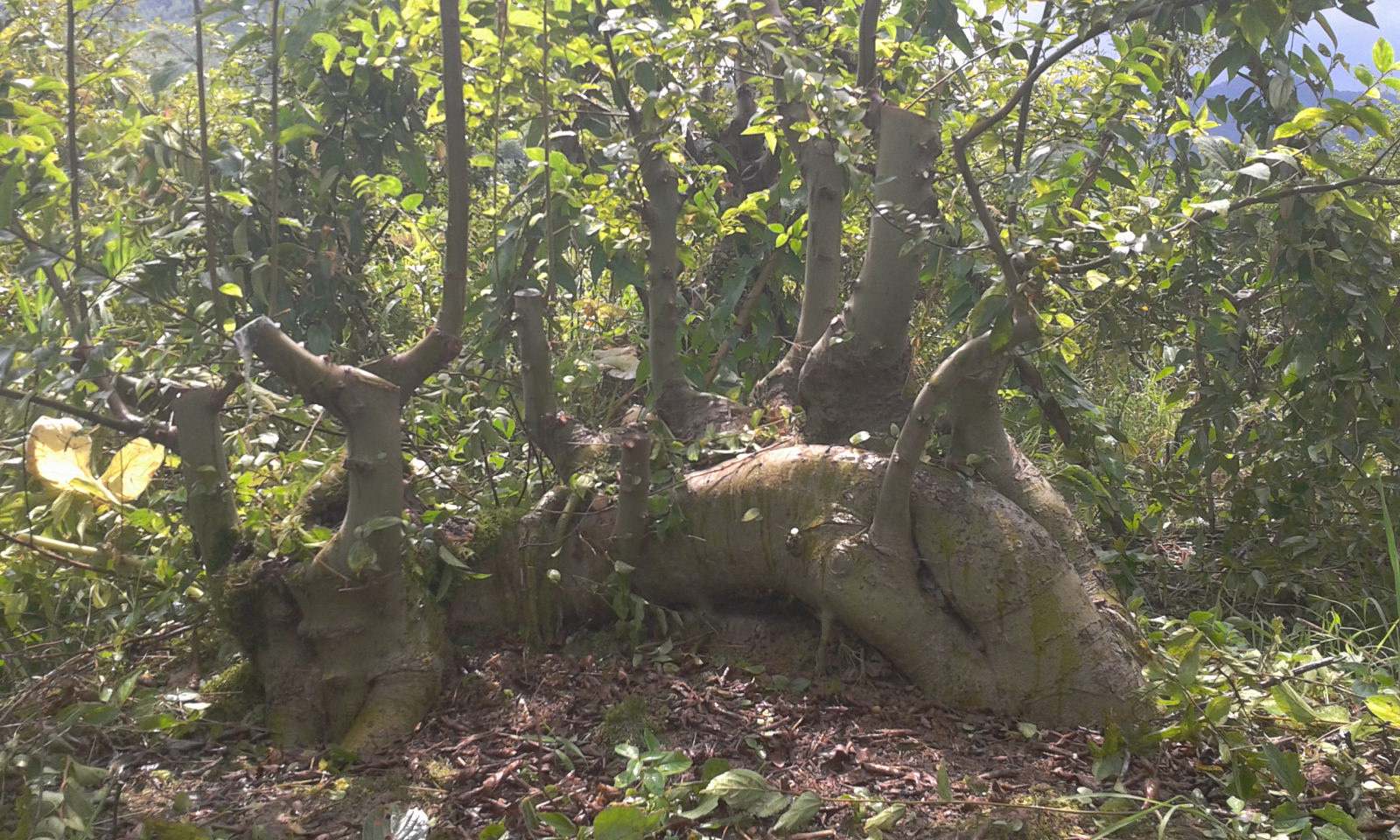 2013-07-27 14.20.33.jpg