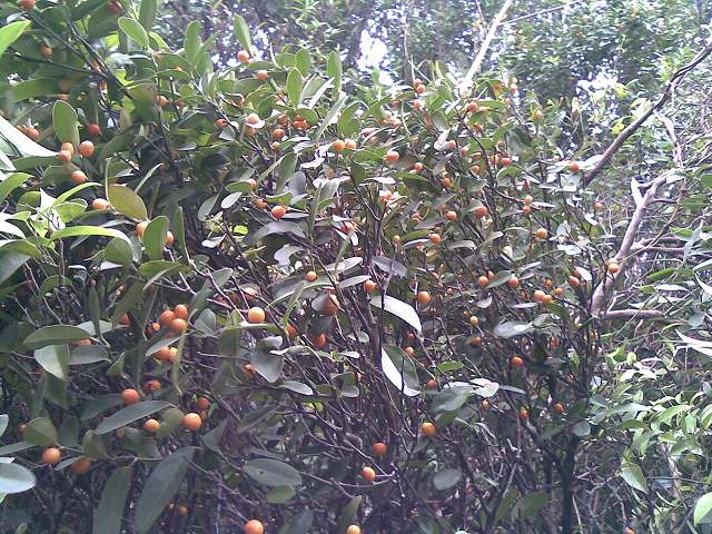 20131214.jpg