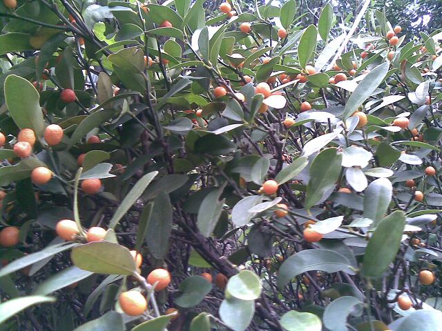 20131214(001).jpg