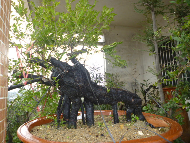 P1080969.JPG