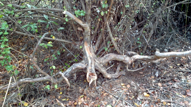2013-12-21_11-18-10_669_conew1.jpg