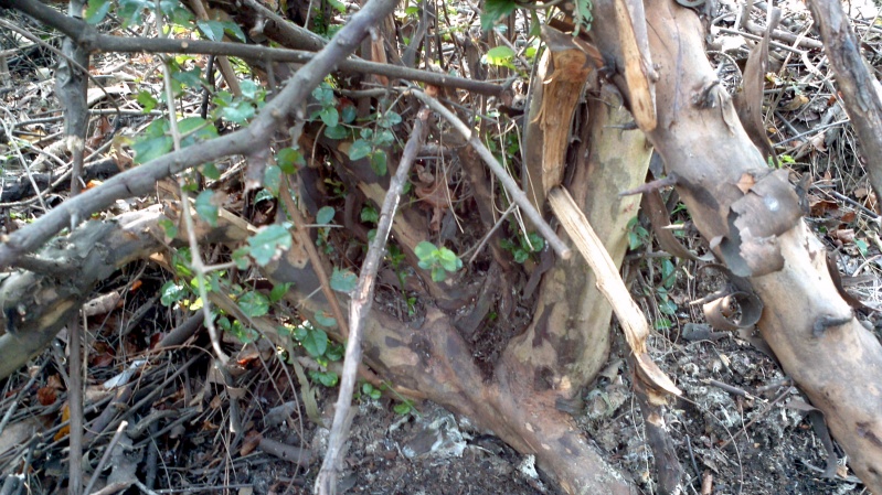 2013-12-21_12-11-02_281_conew1.jpg