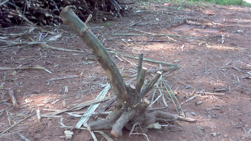 2013-12-21_13-30-00_735_conew1.jpg