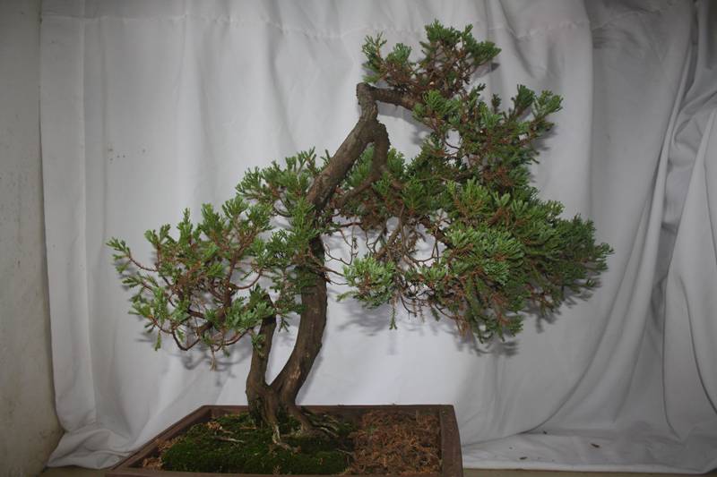 Ƭ20131026ۺ 007.jpg