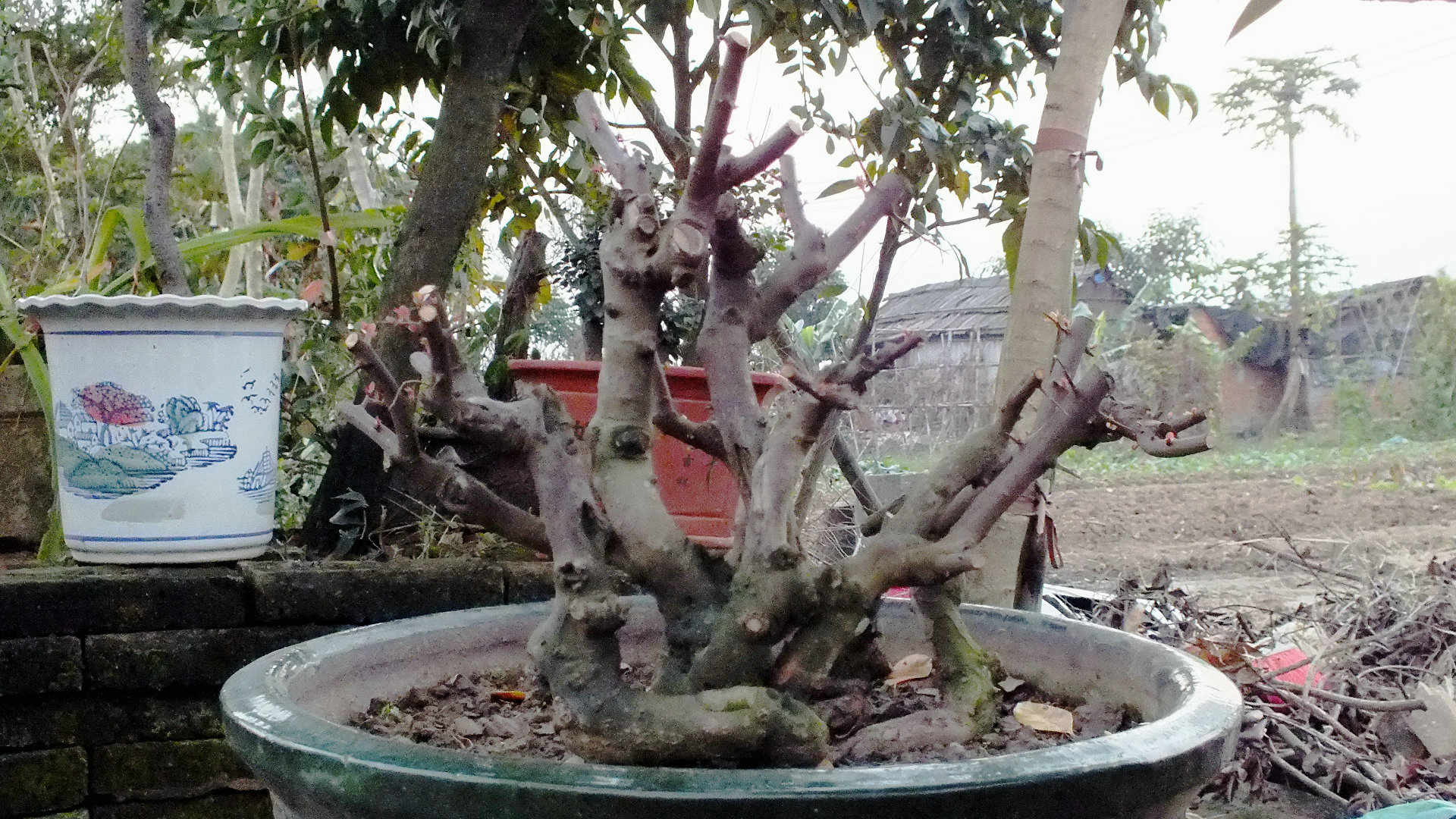 Ƭ 006.jpg