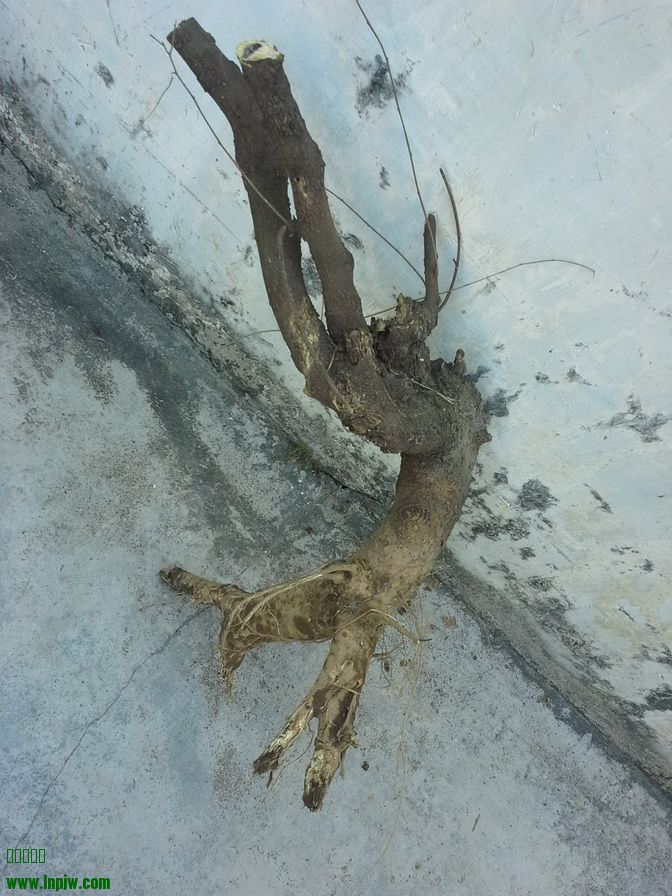 20131223_125727_С.jpg